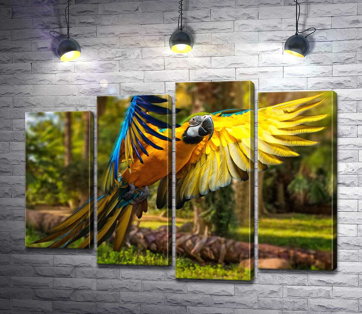 

Модульная картина ArtPoster Голубо-желтый попугай ара расправляет крылья в полете 80x60 см Модуль №21