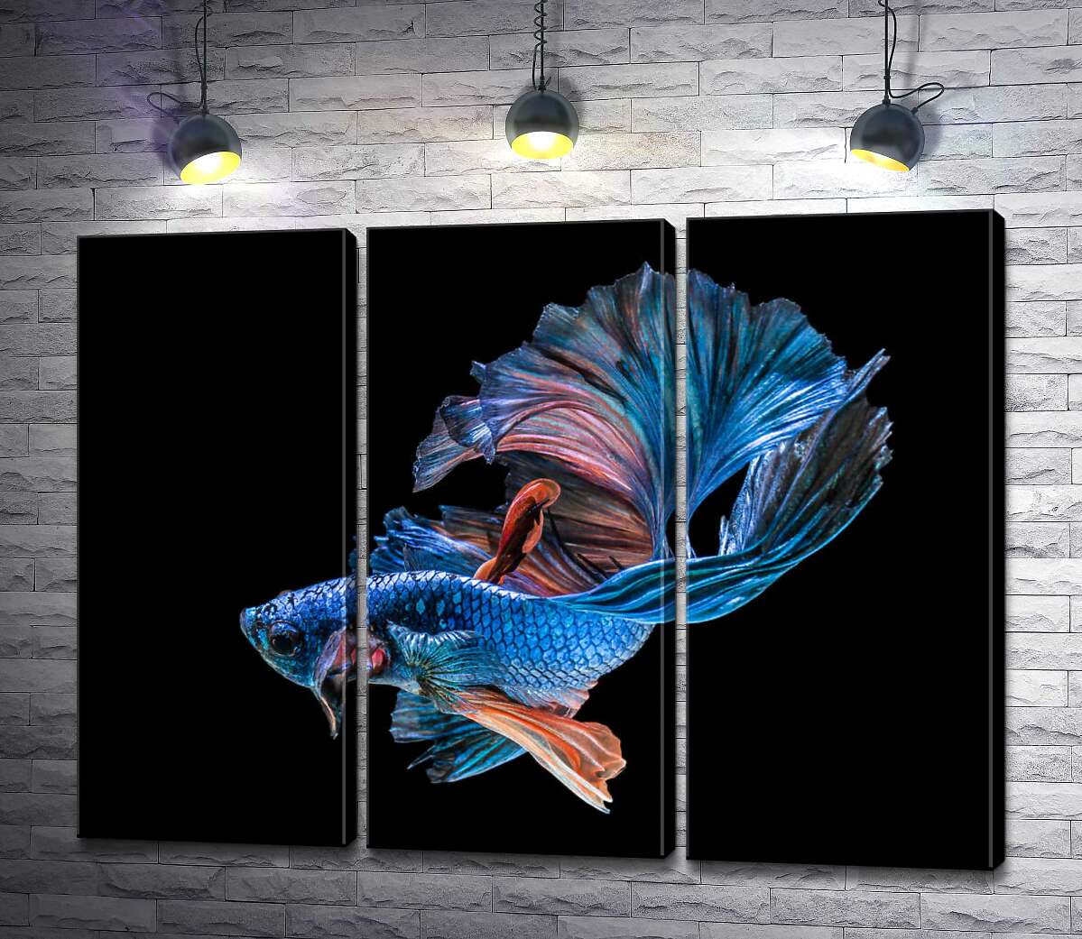 

Модульная картина ArtPoster Голубая рыба-петушок с пышными волнами плавников 102x76 см Модуль №11