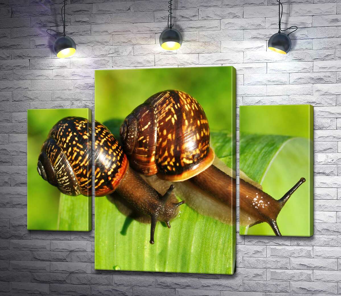 

Модульная картина ArtPoster Две пятнистые улитки ползут по травинке 131x105 см Модуль №7