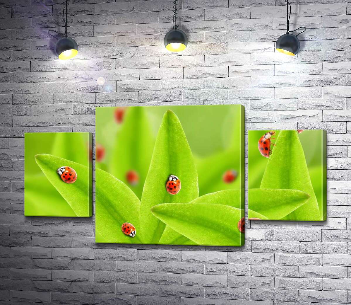 

Модульная картина ArtPoster Краснобокие божьи коровки ползают по сочной листве 100x54 см Модуль №7