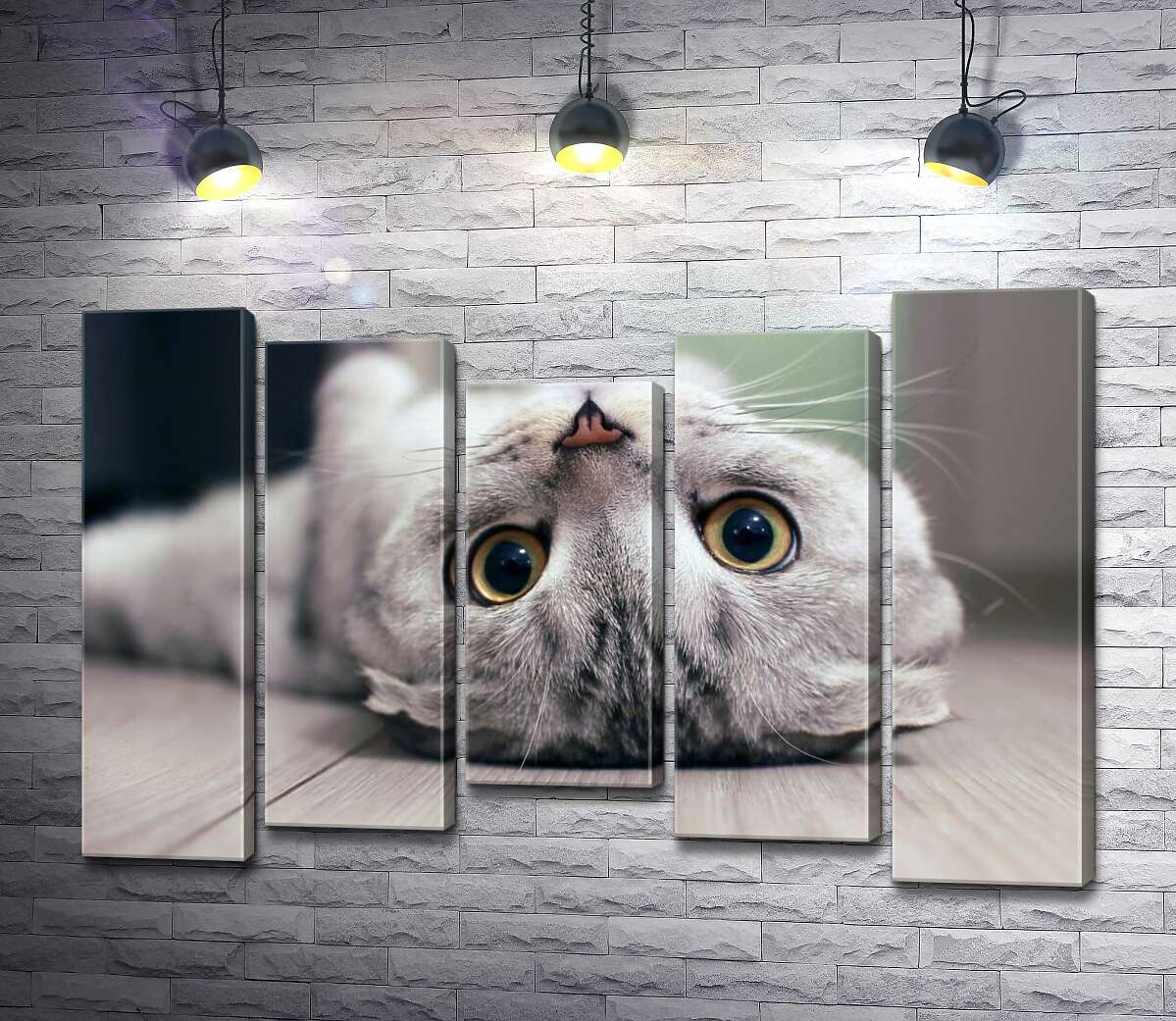 

Модульная картина ArtPoster Милый взгляд серого шотландского кота 100x69 см Модуль №28