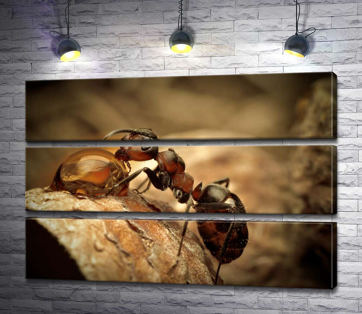 

Модульная картина ArtPoster Маленький муравей пьет из капли 130x87 см Модуль №13