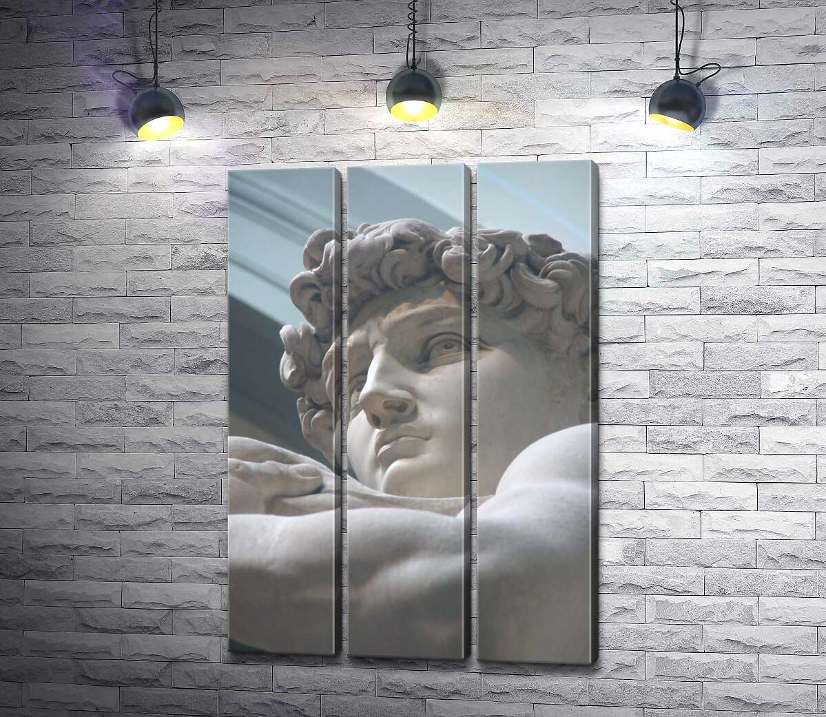 

Модульная картина ArtPoster Лицо мраморной статуи Давида 132x195 см Модуль №11