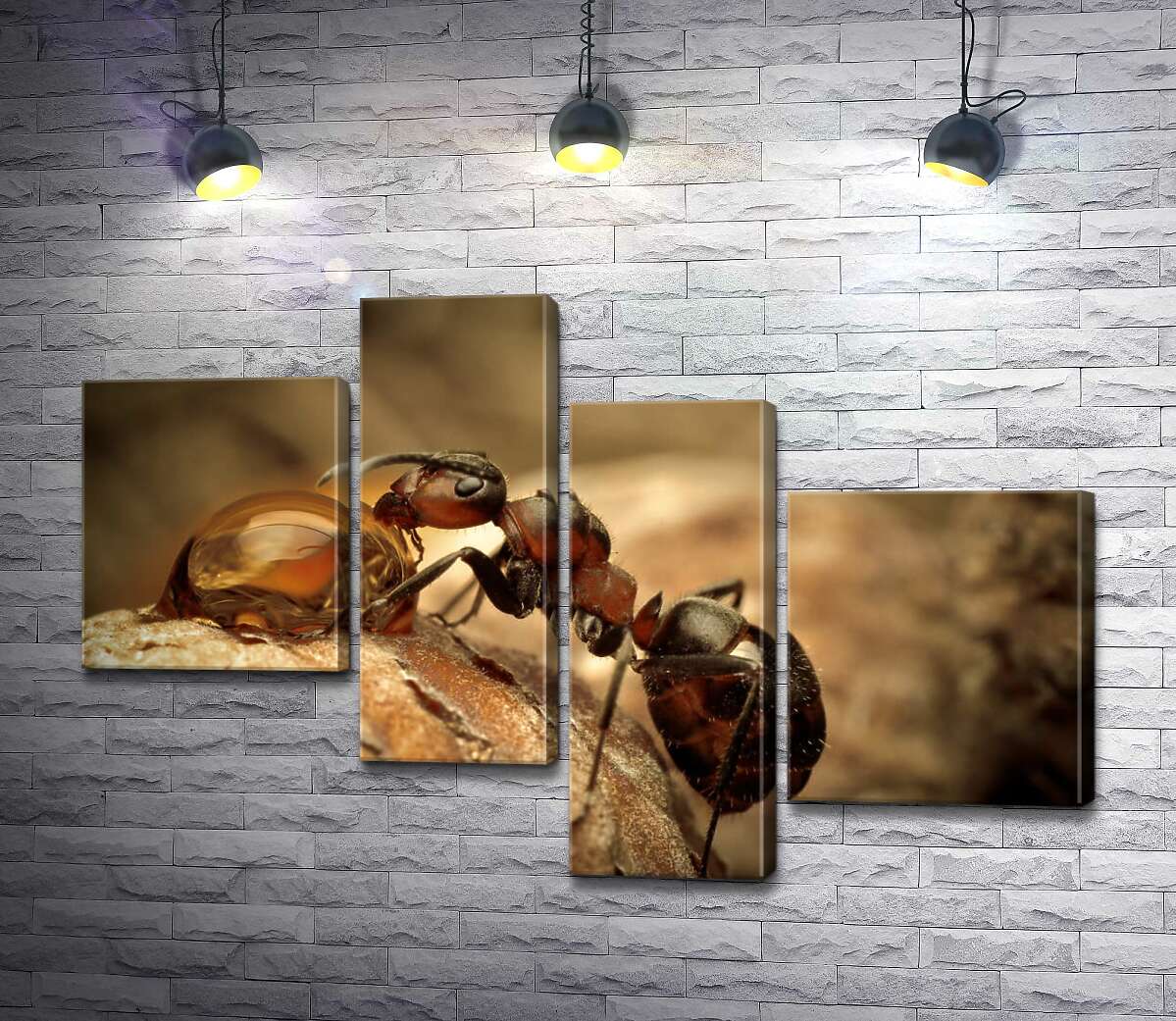 

Модульная картина ArtPoster Маленький муравей пьет из капли 100x67 см Модуль №20
