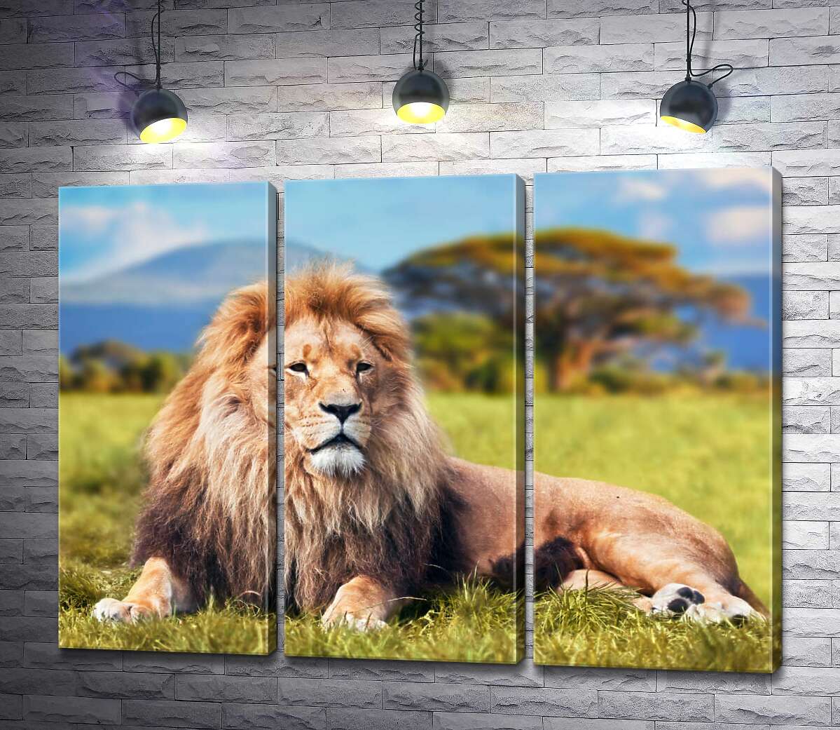 

Модульная картина ArtPoster Лев отдыхает среди саванны 60x45 см Модуль №11