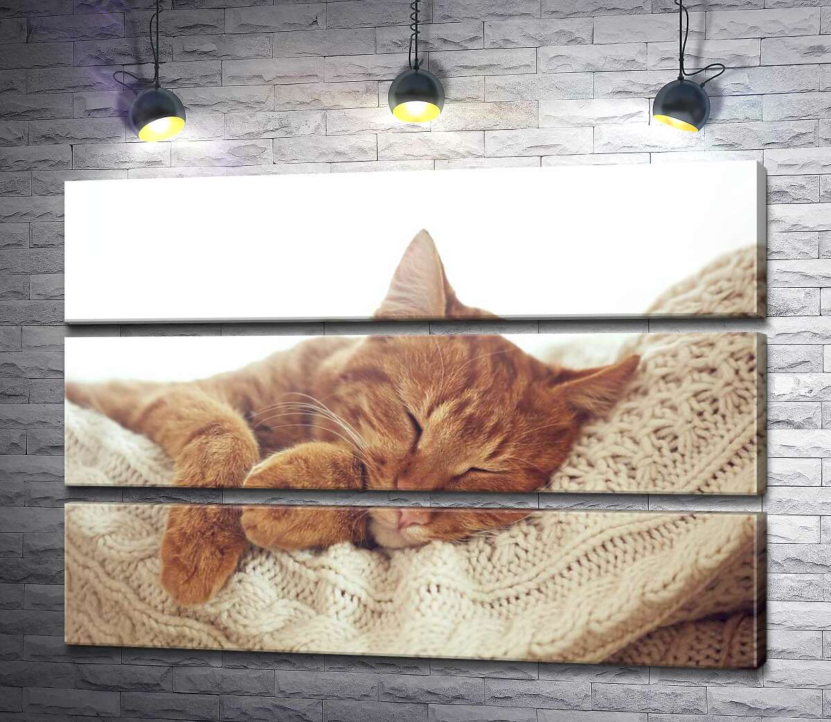 

Модульная картина ArtPoster Кот мило отдыхает на белой подушке 87x60 см Модуль №13
