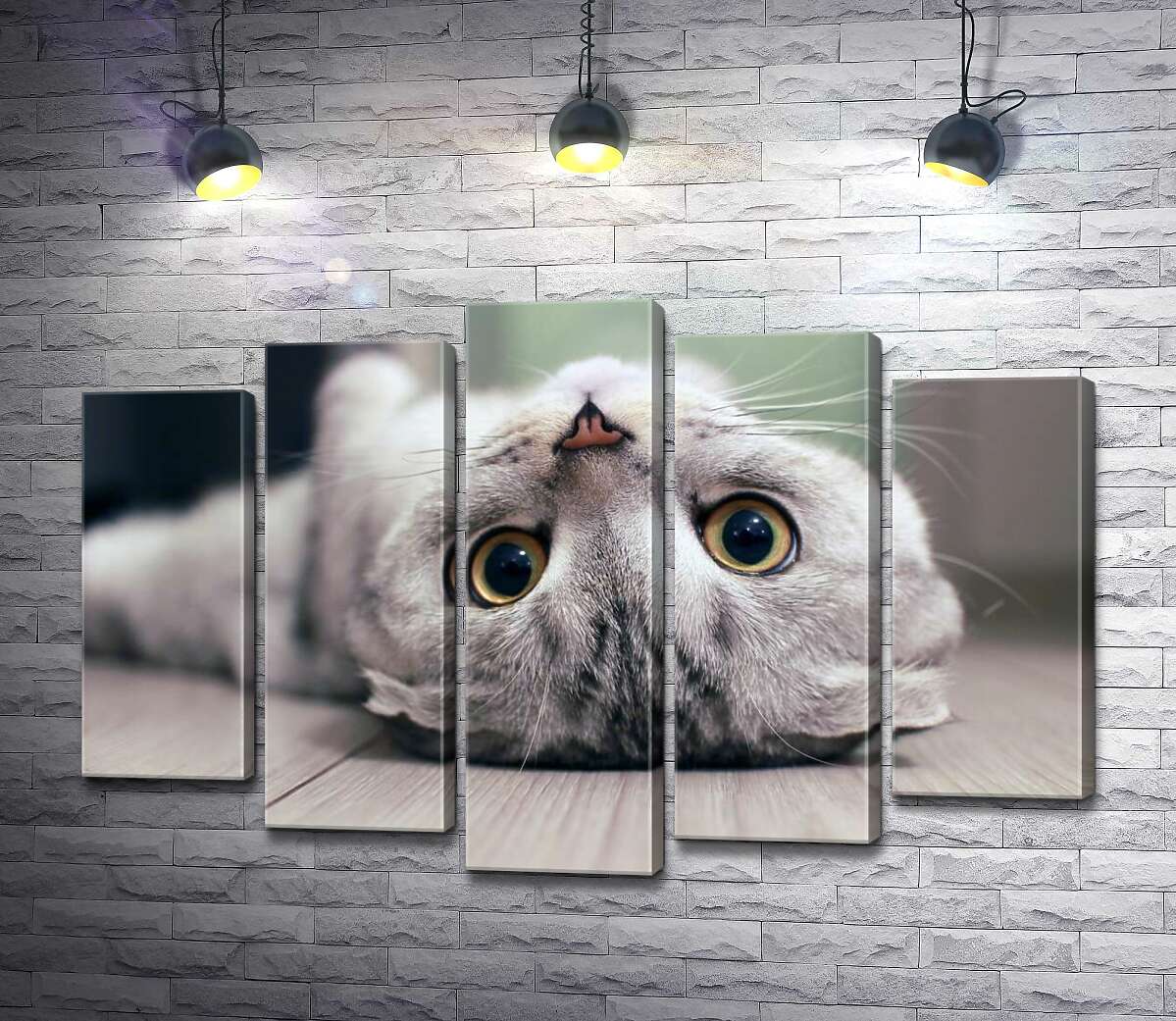 

Модульная картина ArtPoster Милый взгляд серого шотландского кота 130x88 см Модуль №26