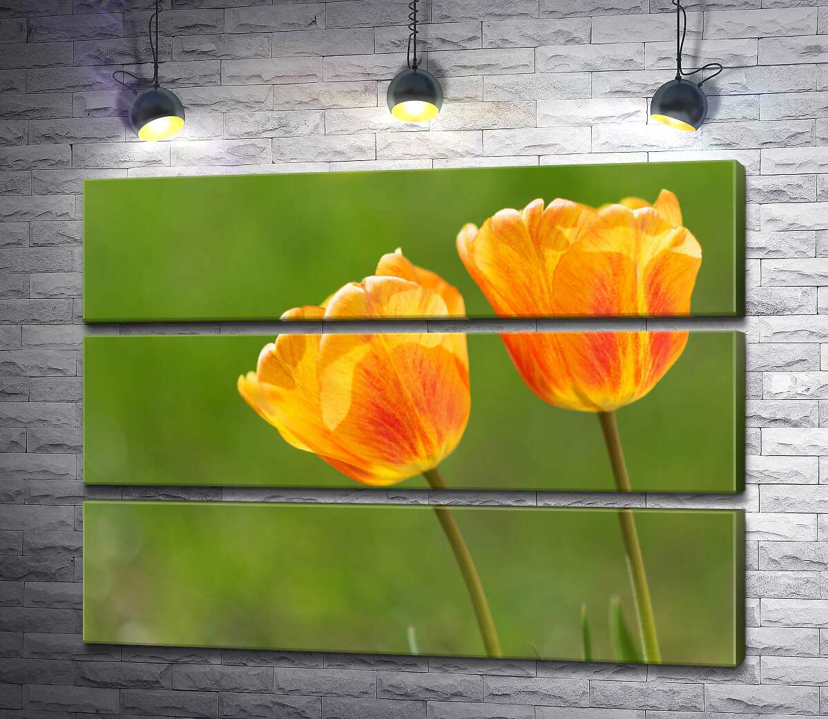 

Модульная картина ArtPoster Красный узор на желтых тюльпанах 130x96 см Модуль №13