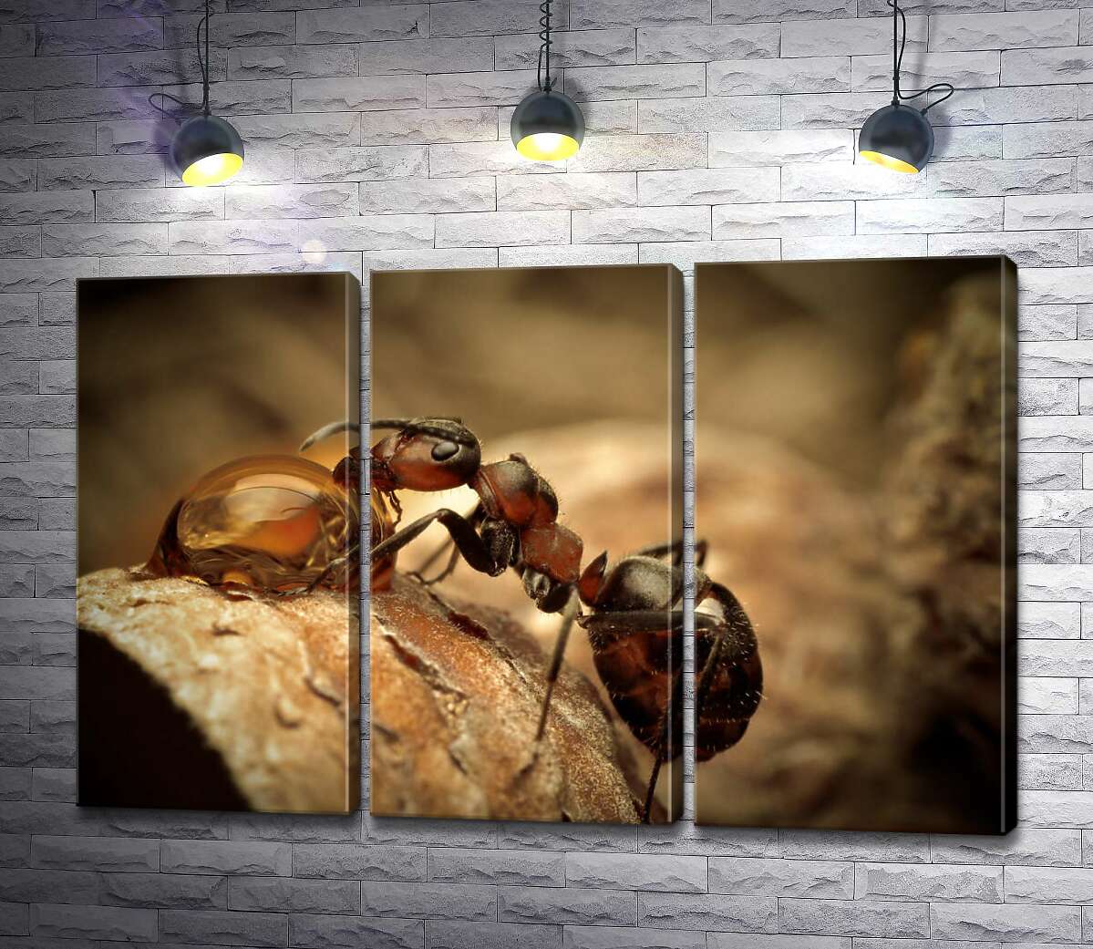 

Модульная картина ArtPoster Маленький муравей пьет из капли 60x40 см Модуль №11