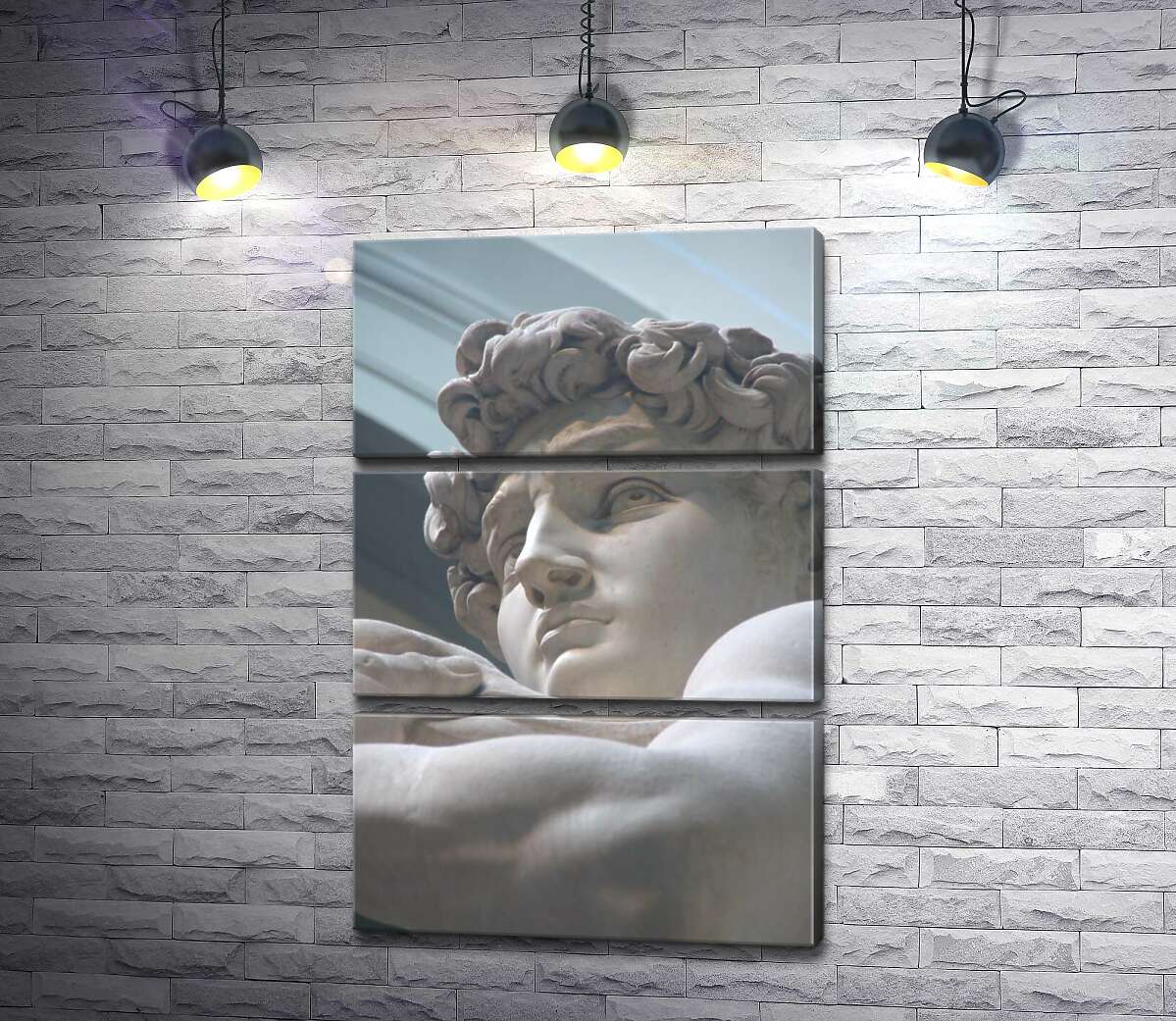 

Модульная картина ArtPoster Лицо мраморной статуи Давида 50x75 см Модуль №13