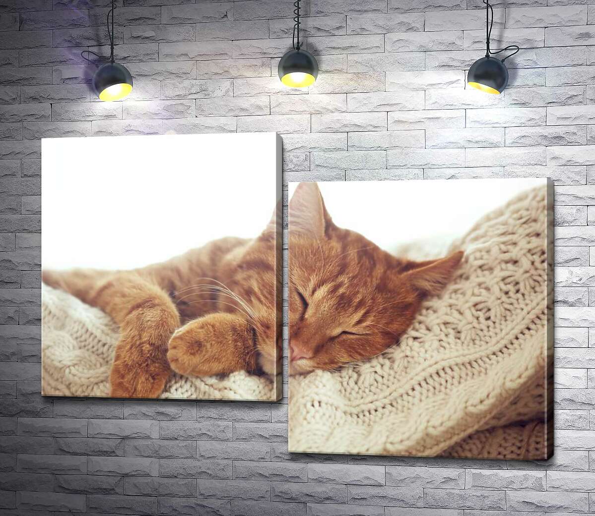 

Модульная картина ArtPoster Кот мило отдыхает на белой подушке 100x70 см Модуль №5