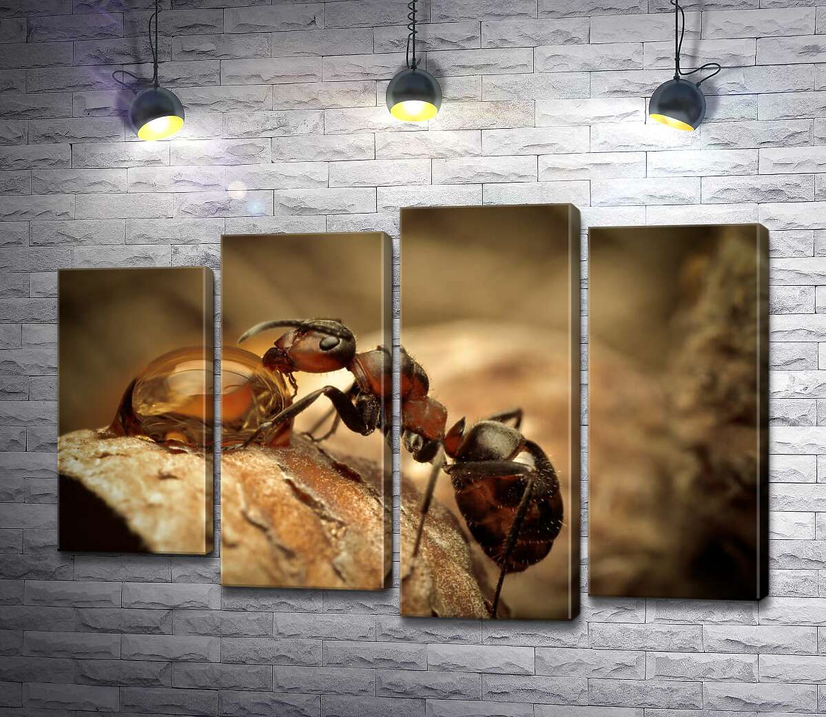 

Модульная картина ArtPoster Маленький муравей пьет из капли 100x67 см Модуль №21