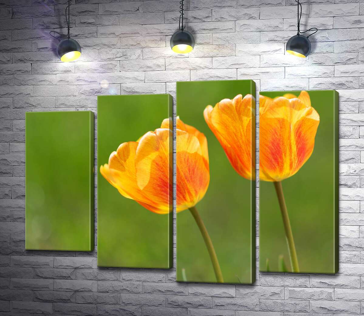 

Модульная картина ArtPoster Красный узор на желтых тюльпанах 100x75 см Модуль №21