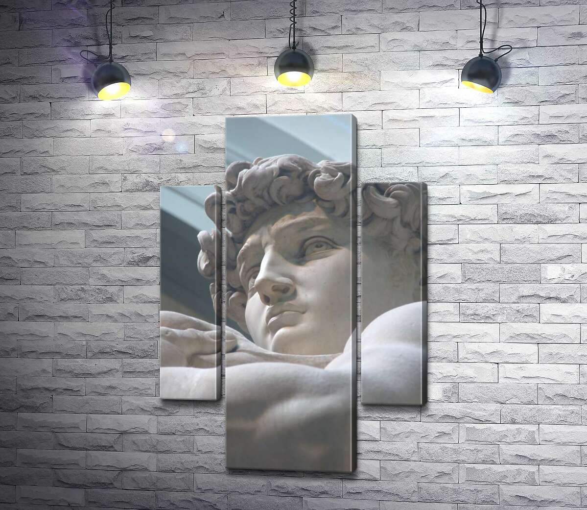 

Модульная картина ArtPoster Лицо мраморной статуи Давида 80x120 см Модуль №7