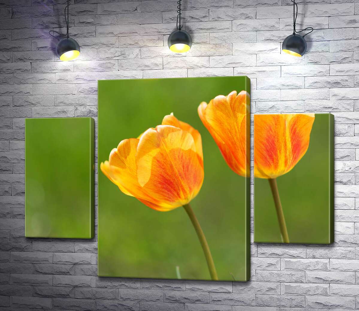 

Модульная картина ArtPoster Красный узор на желтых тюльпанах 80x60 см Модуль №7