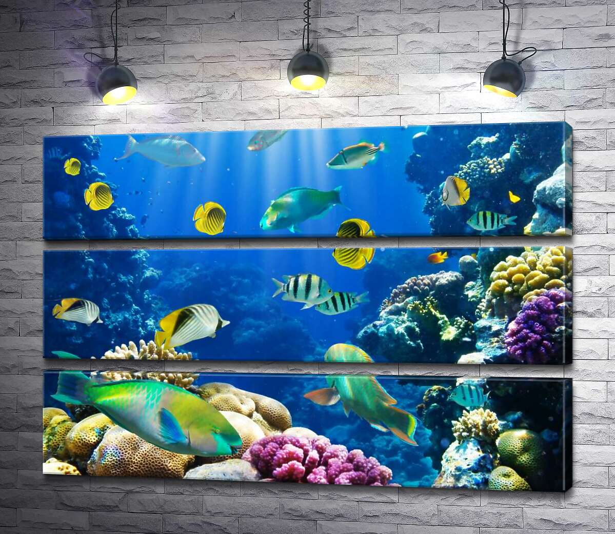 

Модульная картина ArtPoster Красота подводного мира рыб и кораллов 130x87 см Модуль №13