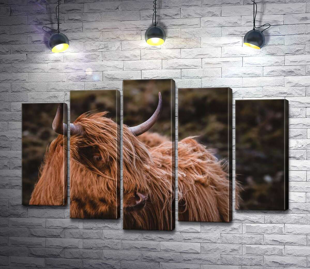 

Модульная картина ArtPoster Мягкая шерсть шотландской коровы развевается на ветру 100x69 см Модуль №26