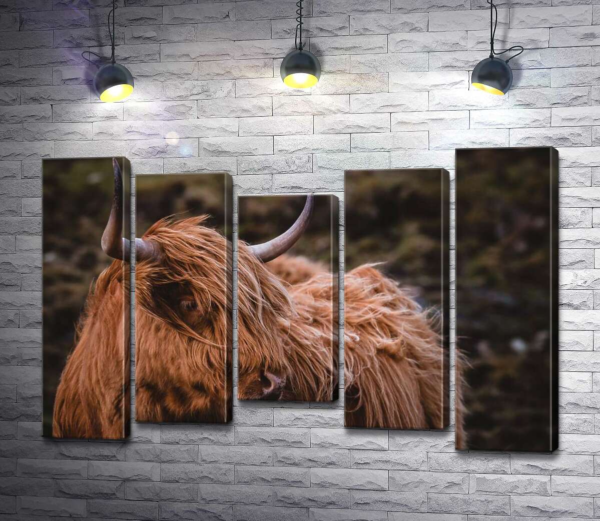 

Модульная картина ArtPoster Мягкая шерсть шотландской коровы развевается на ветру 130x88 см Модуль №28