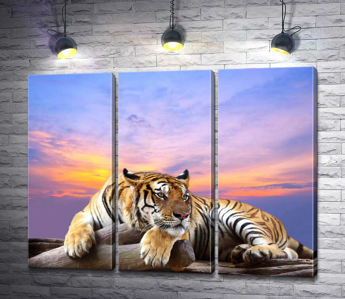

Модульная картина ArtPoster Полосатый тигр мирно лежит на камне под переливами вечернего неба 132x102 см Модуль №11