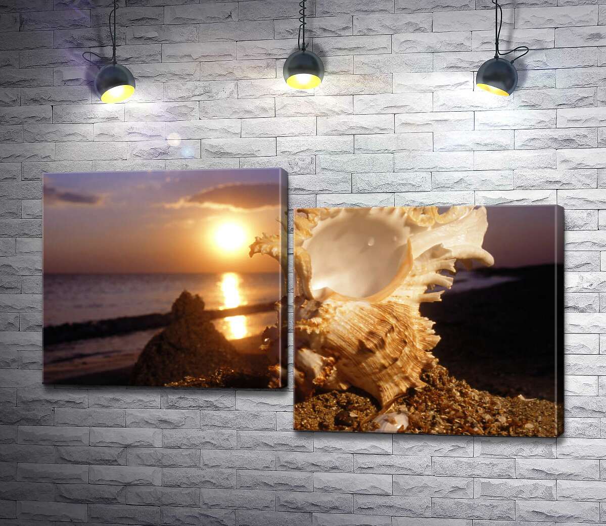 

Модульная картина ArtPoster Причудливые формы морской ракушки на фоне вечернего пляжа 100x57 см Модуль №5