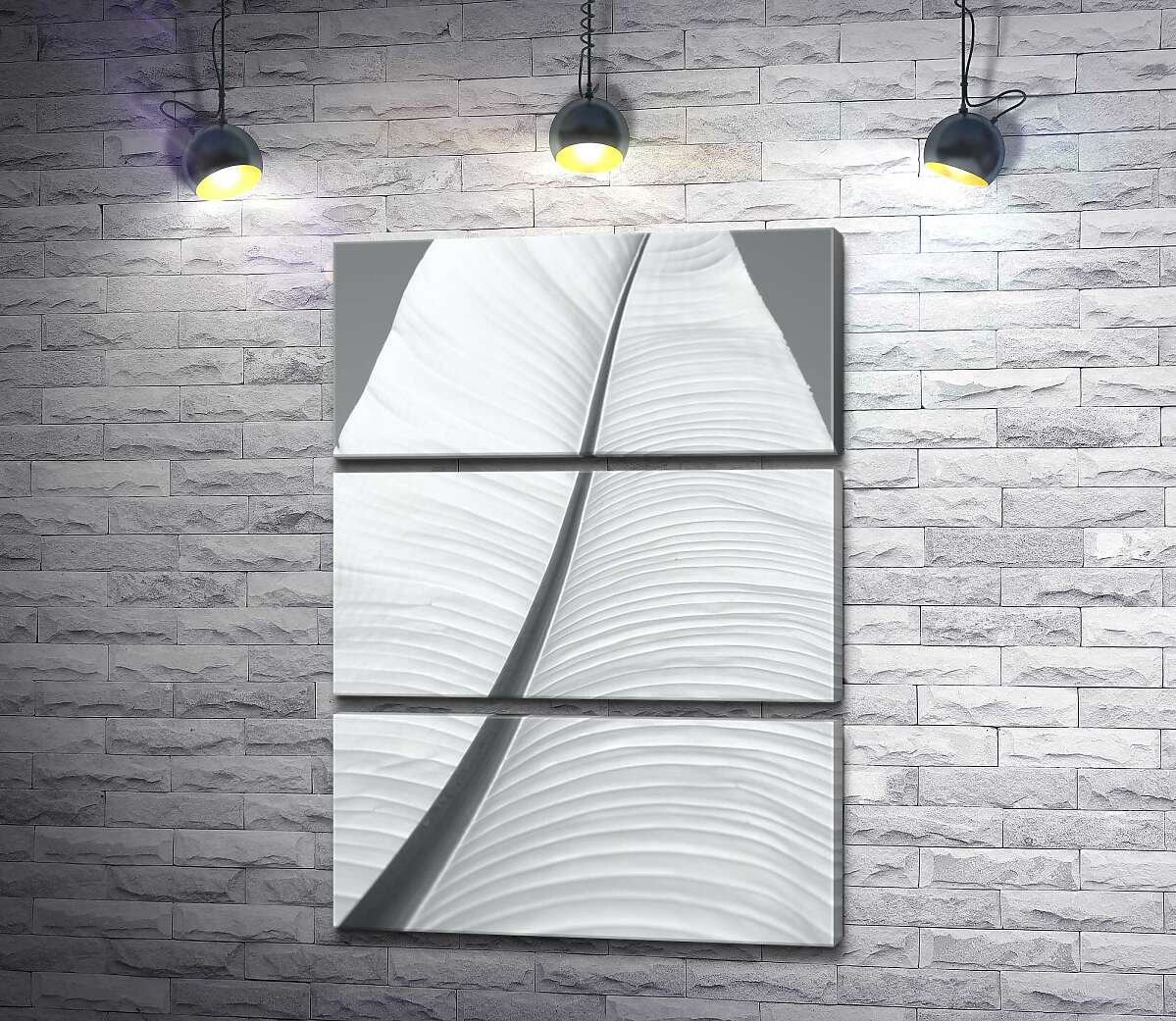 

Модульная картина ArtPoster Пальмовый лист в сером тоне 50x69 см Модуль №13