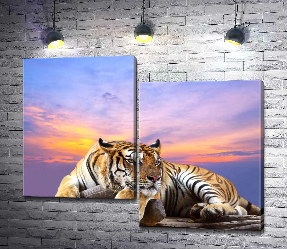 

Модульная картина ArtPoster Полосатый тигр мирно лежит на камне под переливами вечернего неба 100x79 см Модуль №5