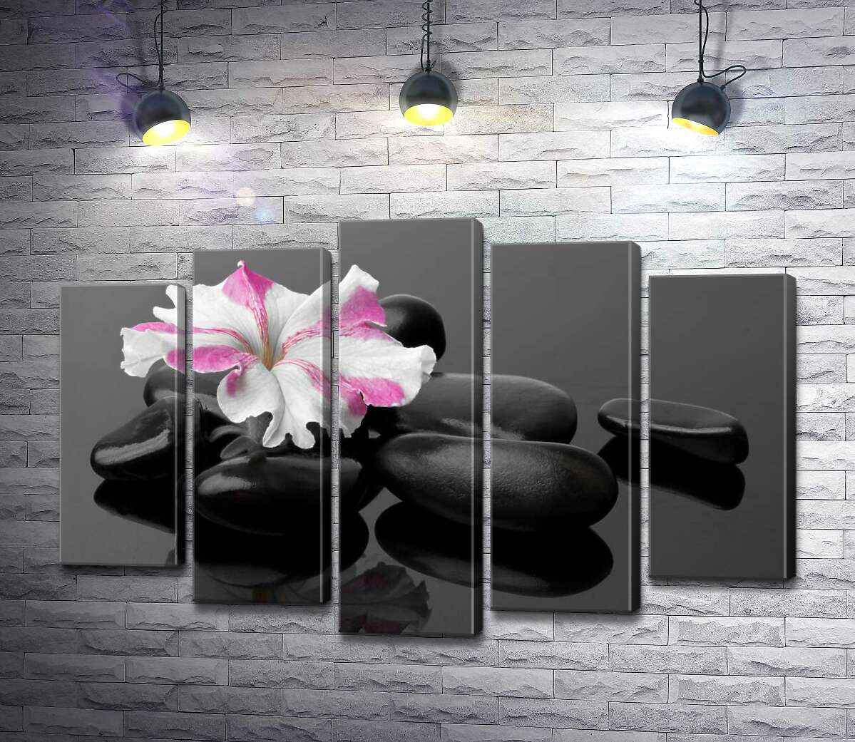 

Модульная картина ArtPoster Розово-белый цветок примулы лежит на черных камнях 130x88 см Модуль №26
