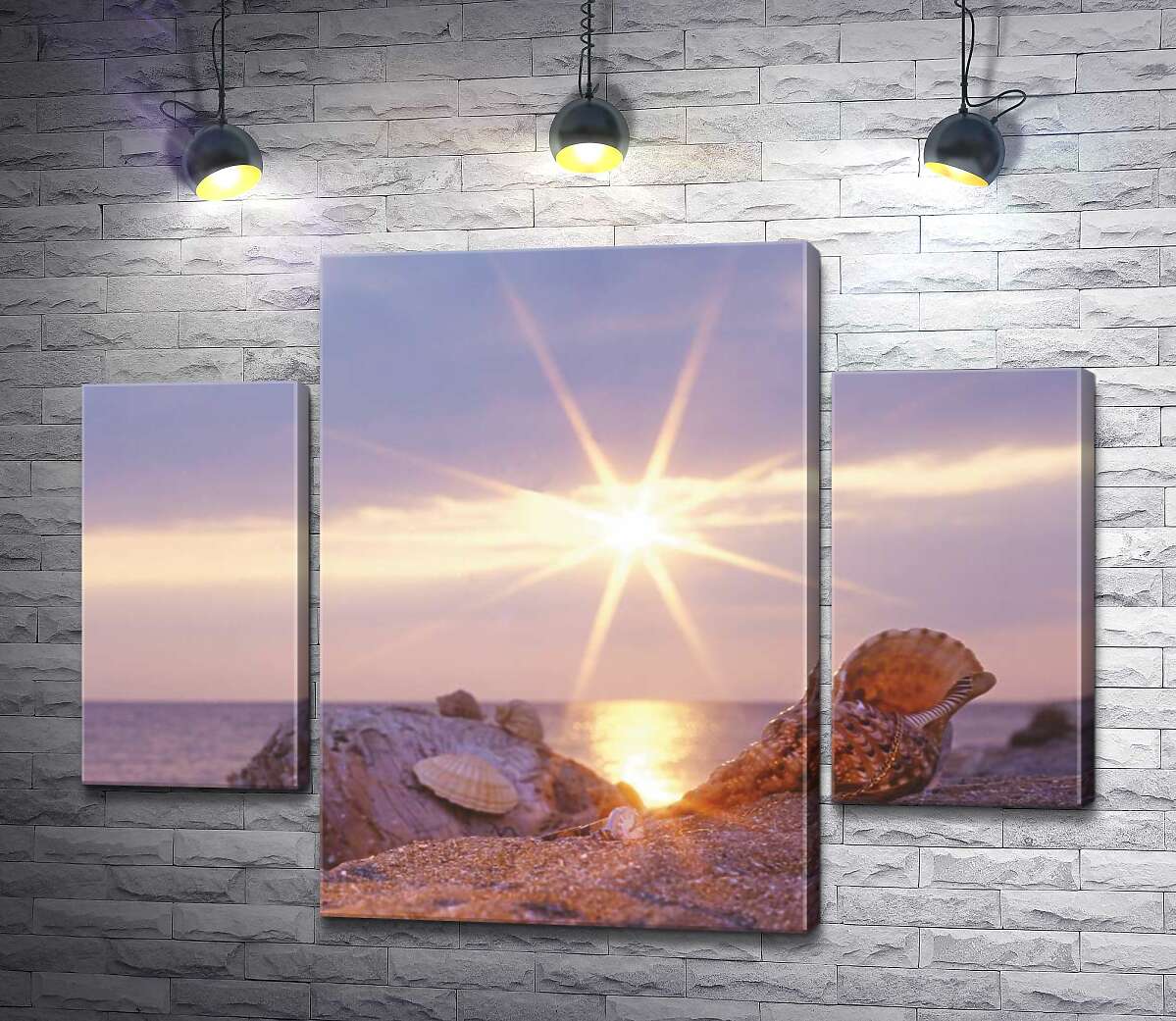 

Модульная картина ArtPoster Ракушки, рассыпанные по песчаному берегу, в лучах солнца 80x60 см Модуль №7