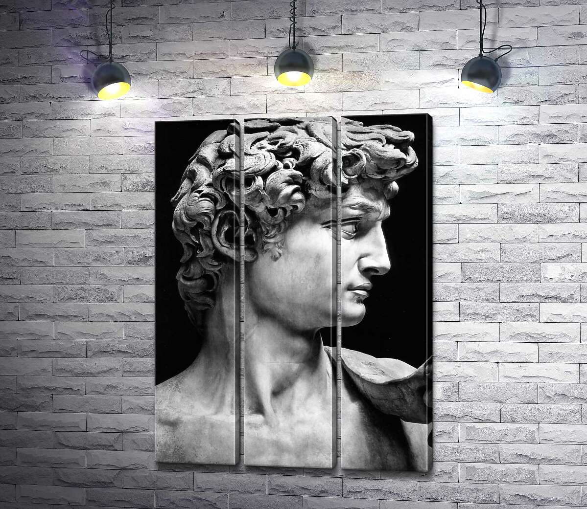 

Модульная картина ArtPoster Профиль скульптуры Давида - Микеланджело Буонарроти (Michelangelo Buonarroti) 102x142 см Модуль №11