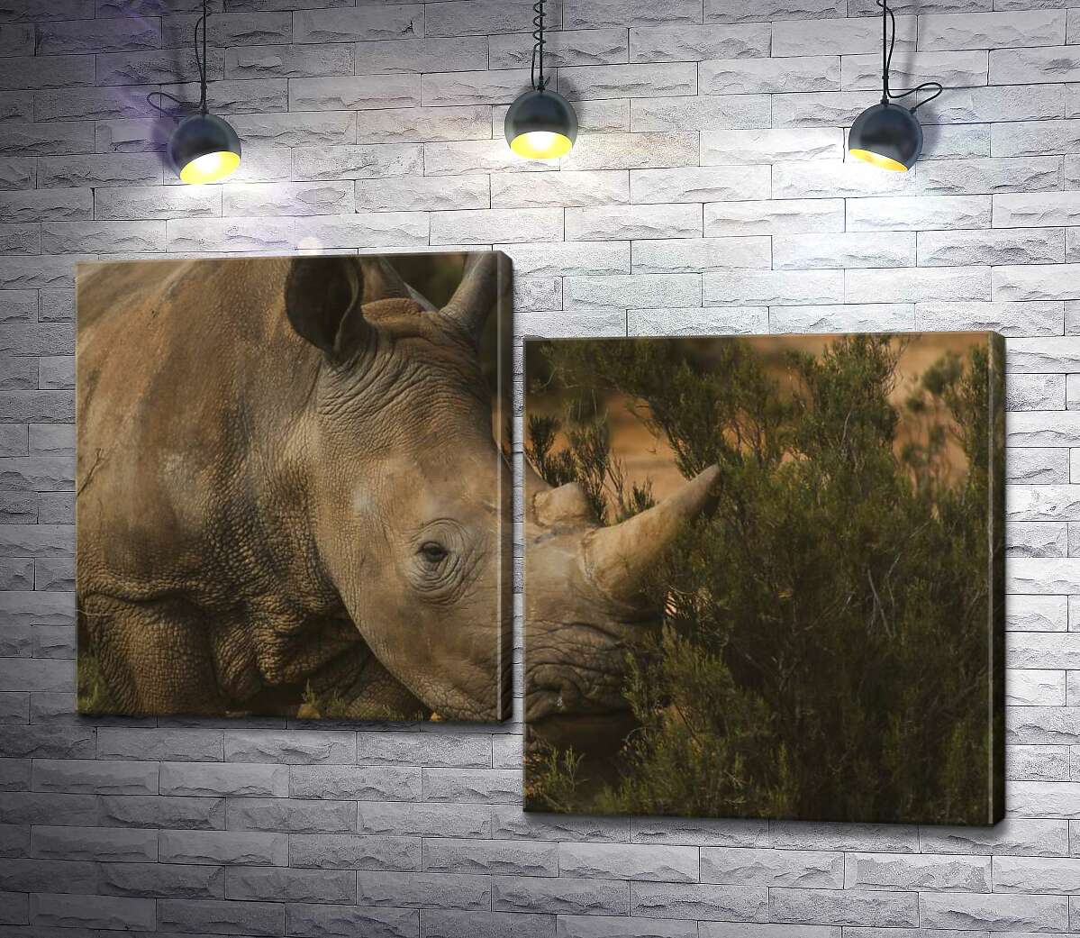 

Модульная картина ArtPoster Редкий белый носорог ест траву 100x68 см Модуль №5