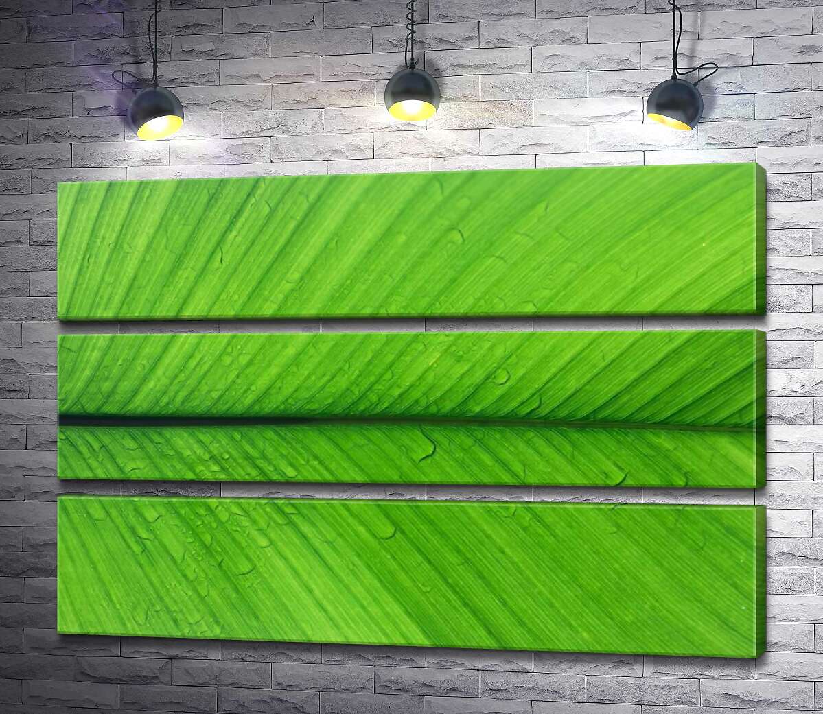 

Модульная картина ArtPoster Росянистая свежесть тропического листа 130x87 см Модуль №13