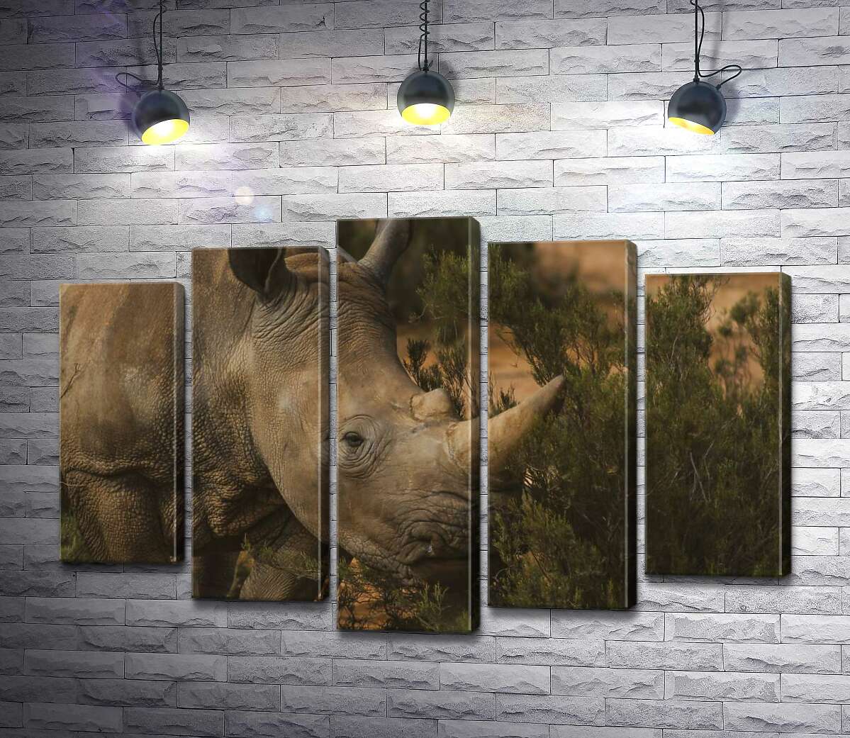 

Модульная картина ArtPoster Редкий белый носорог ест траву 130x88 см Модуль №26