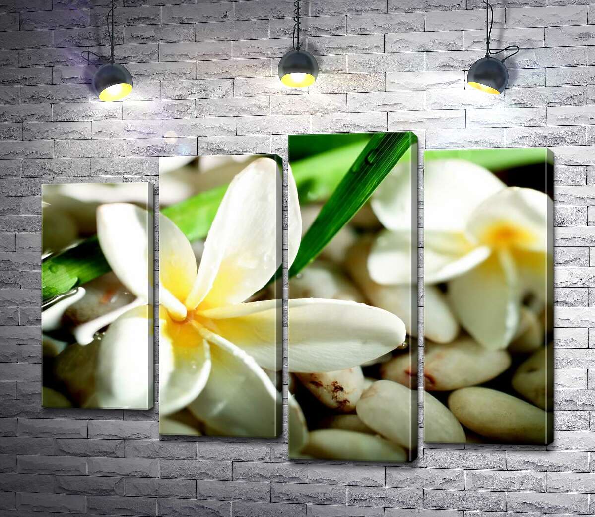 

Модульная картина ArtPoster Свежие цветы плюмерии на каменистом дне тропического ручья 132x97 см Модуль №21