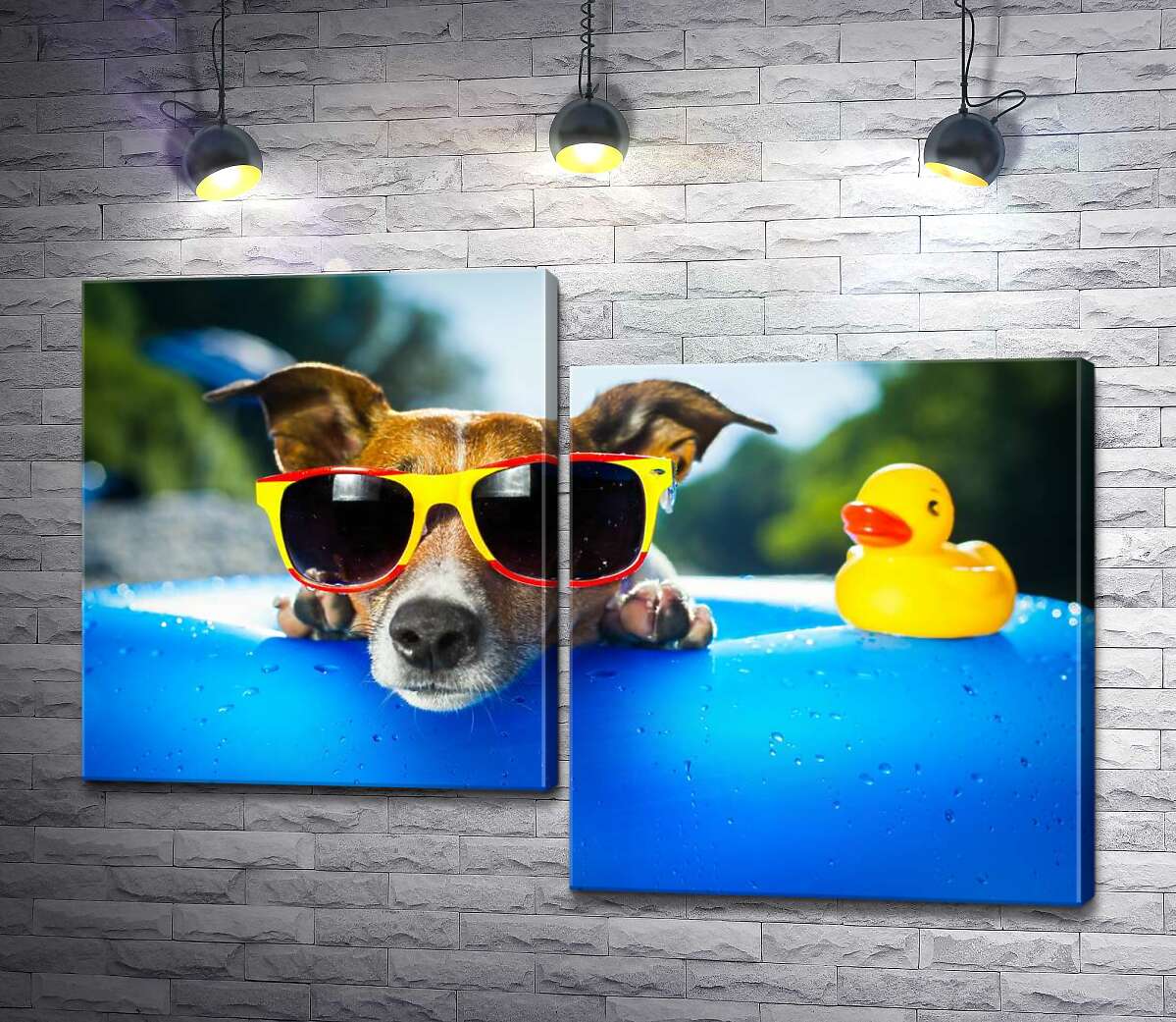 

Модульная картина ArtPoster Собака релаксирует в солнечных очках на краю надувного бассейна 100x69 см Модуль №5