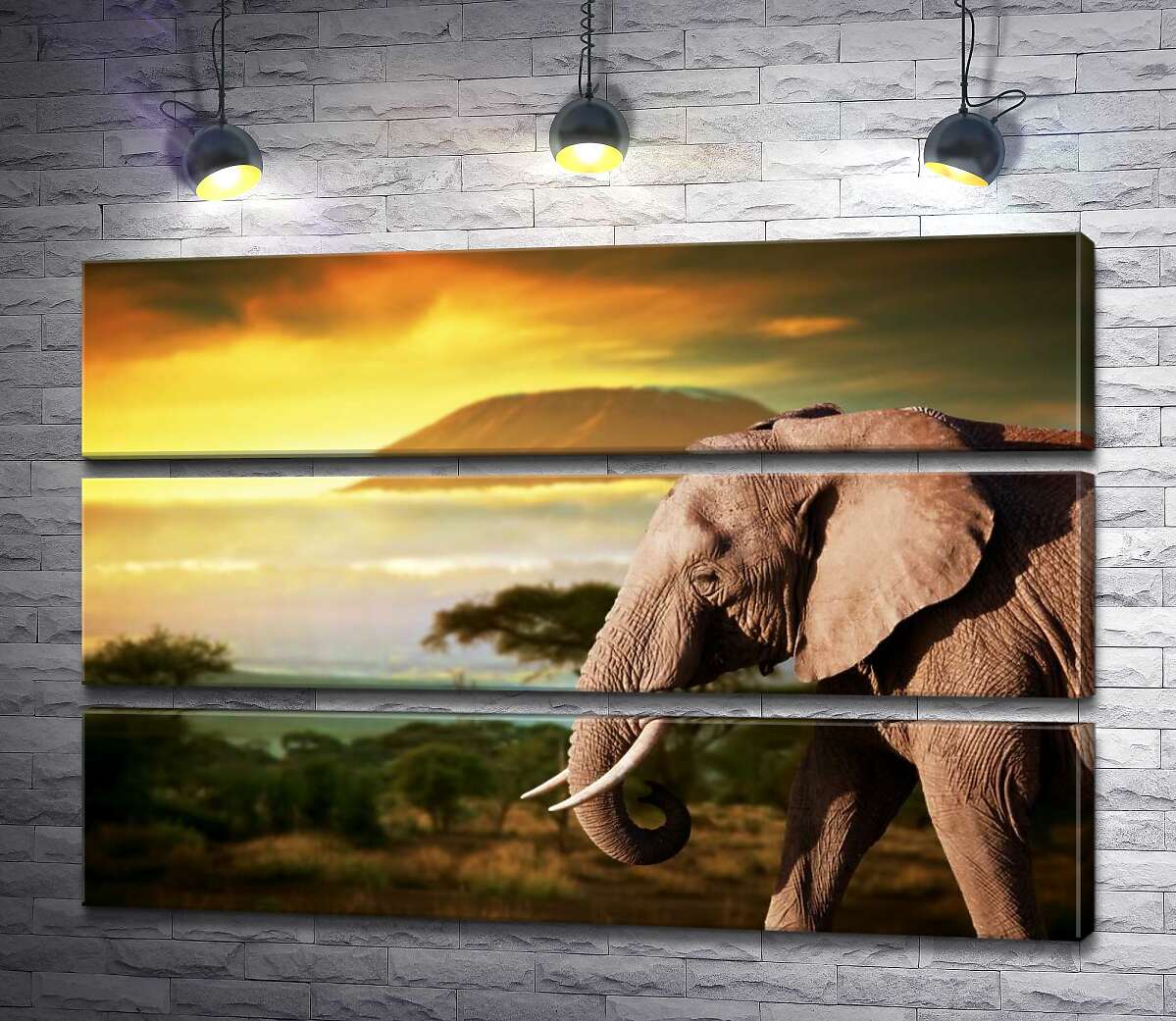 

Модульная картина ArtPoster Слон прогуливается по дороге саванны 90x60 см Модуль №13
