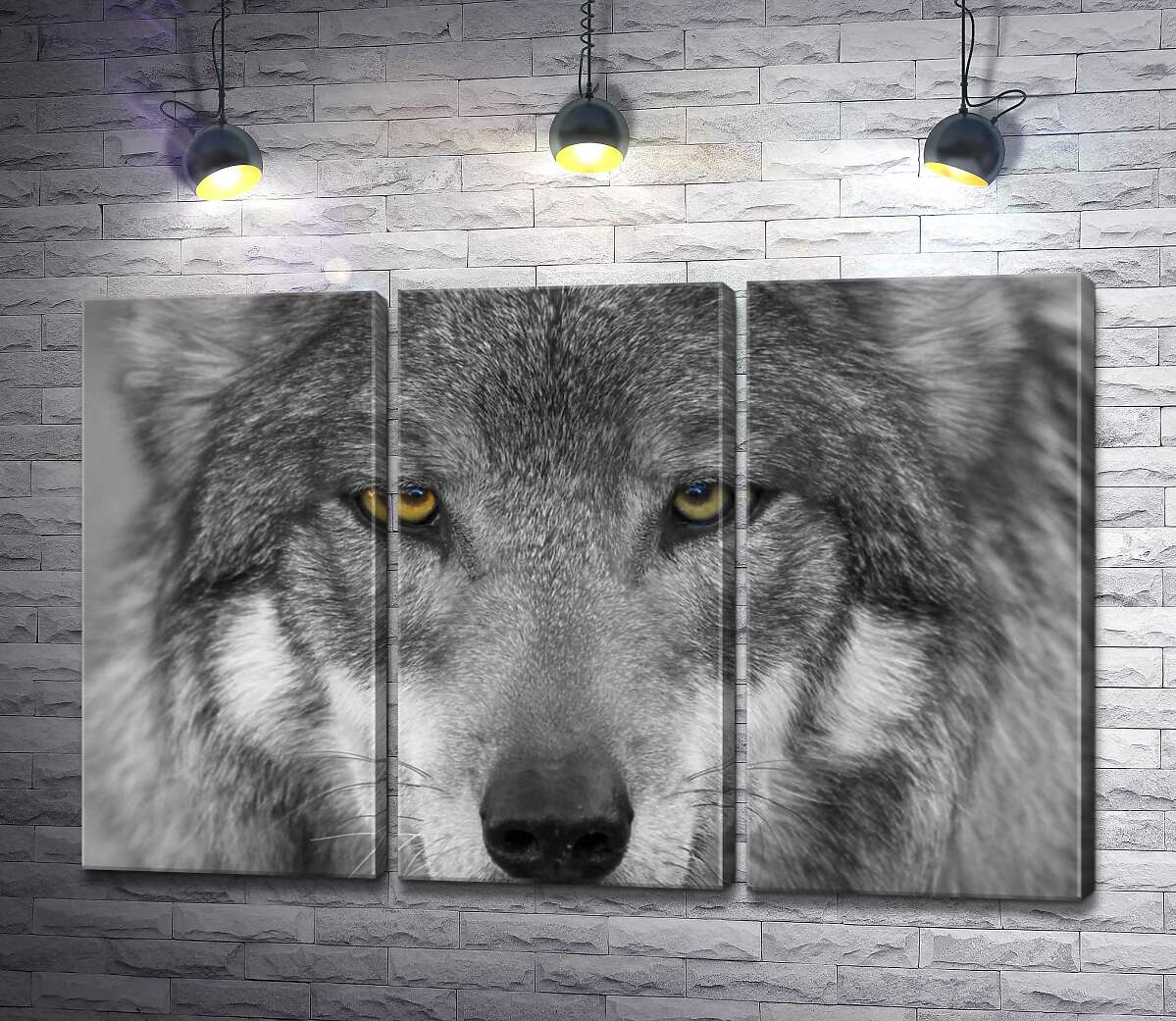 

Модульная картина ArtPoster Уверенный взгляд серого волка 60x40 см Модуль №11
