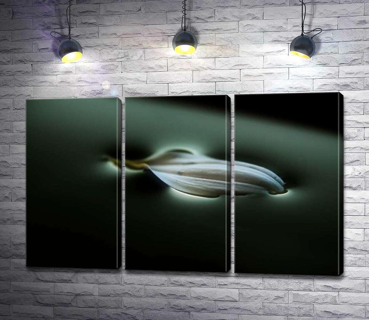 

Модульная картина ArtPoster Тонкий лепесток изгибает поверхность воды 60x38 см Модуль №11