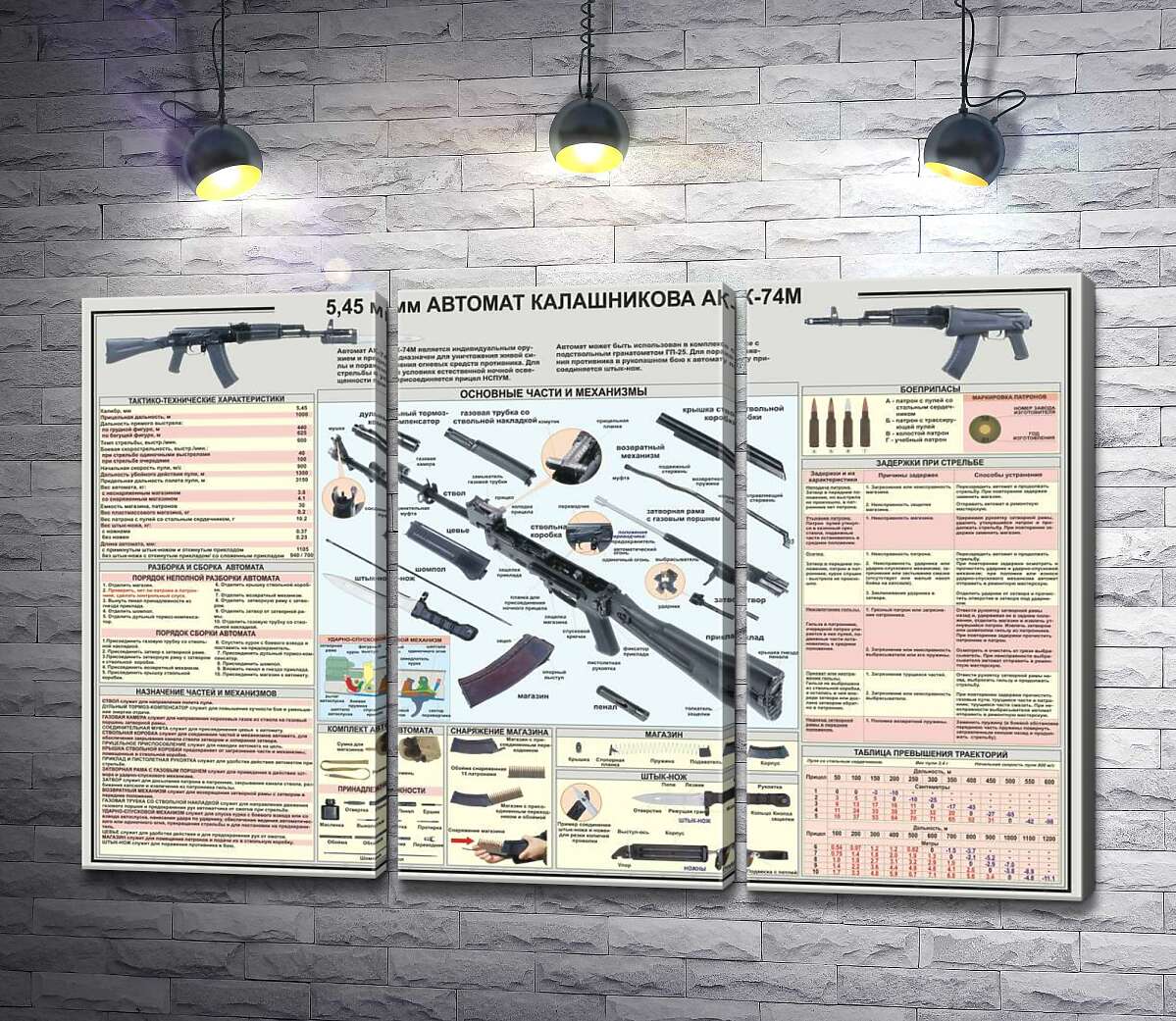 

Модульная картина ArtPoster Учебный плакат автомата Калашникова (АК – 74М) 102x67 см Модуль №11