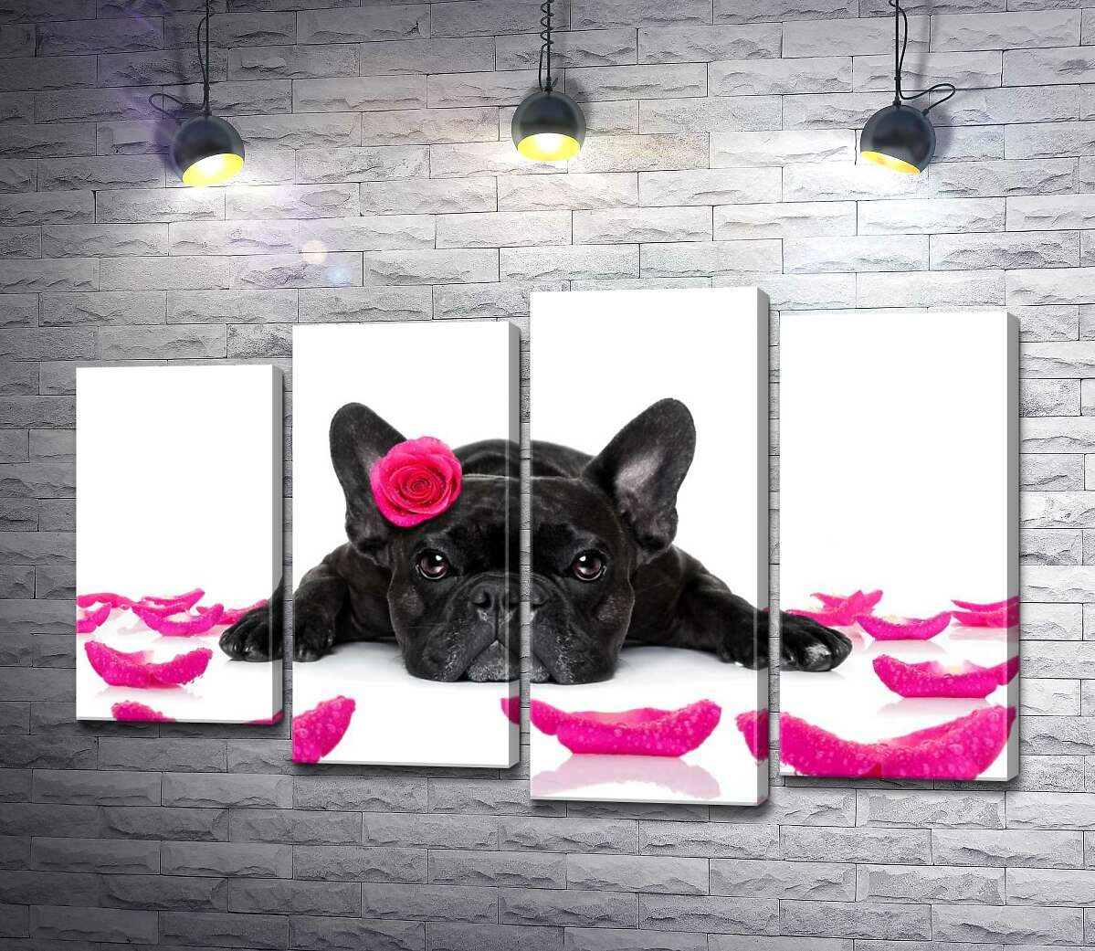 

Модульная картина ArtPoster Черный бульдог отдыхает среди розовых лепестков роз 100x64 см Модуль №21