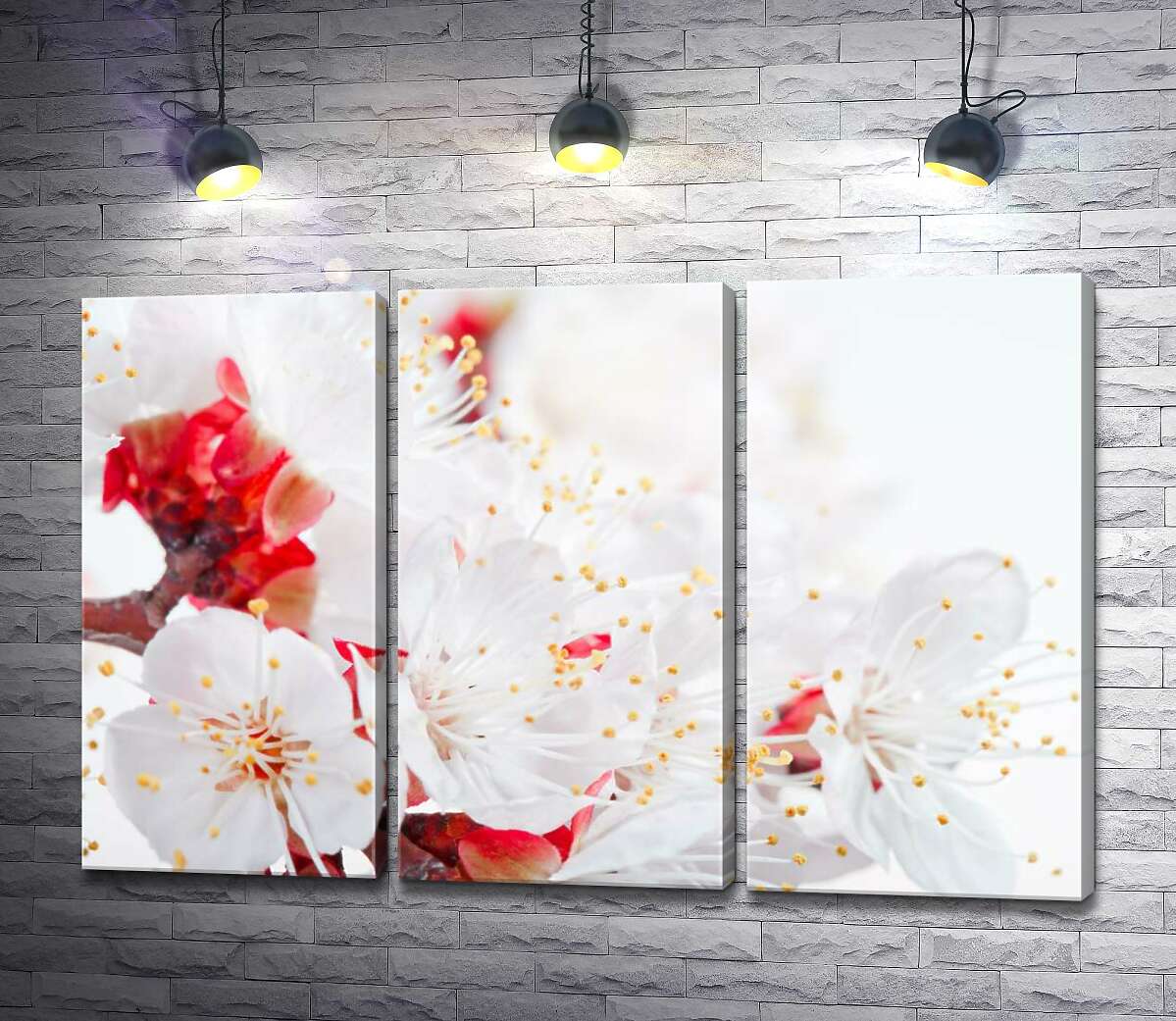 

Модульная картина ArtPoster Тонкие тычинки с желтыми кисточками на белых весенних цветах 102x67 см Модуль №11