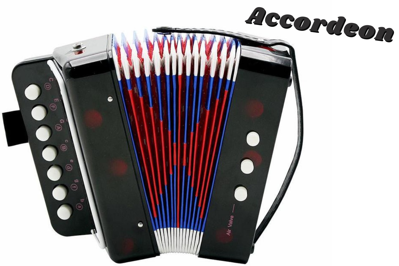 

Детская гармошка Accordeon Черная