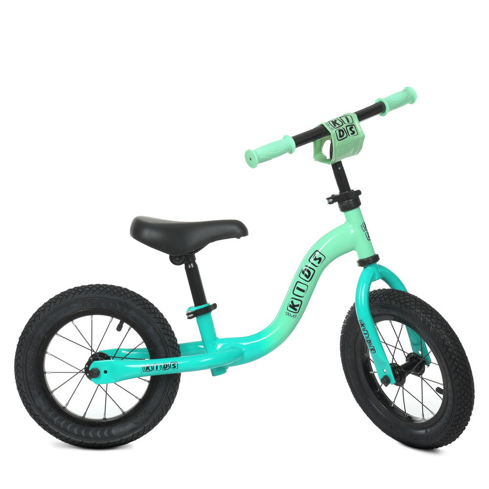 

Беговел Profi Kids ML1201A-6 Turquoise (ML1201A)