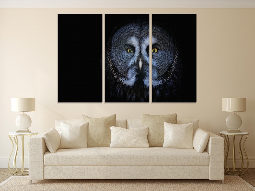 

Картина на холсте Модульные Модульная картина Great Grey Owl 3 картины 45х90 см.