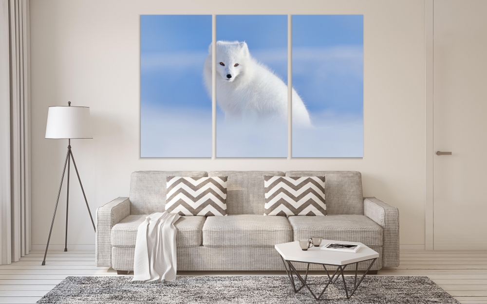 

Картина на холсте Модульные Модульная картина Arctic Fox 3 картины 45х90 см.