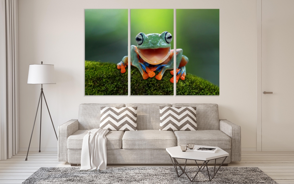 

Картина на холсте Модульные Модульная картина Flying Frog 3 картины 25х50 см.