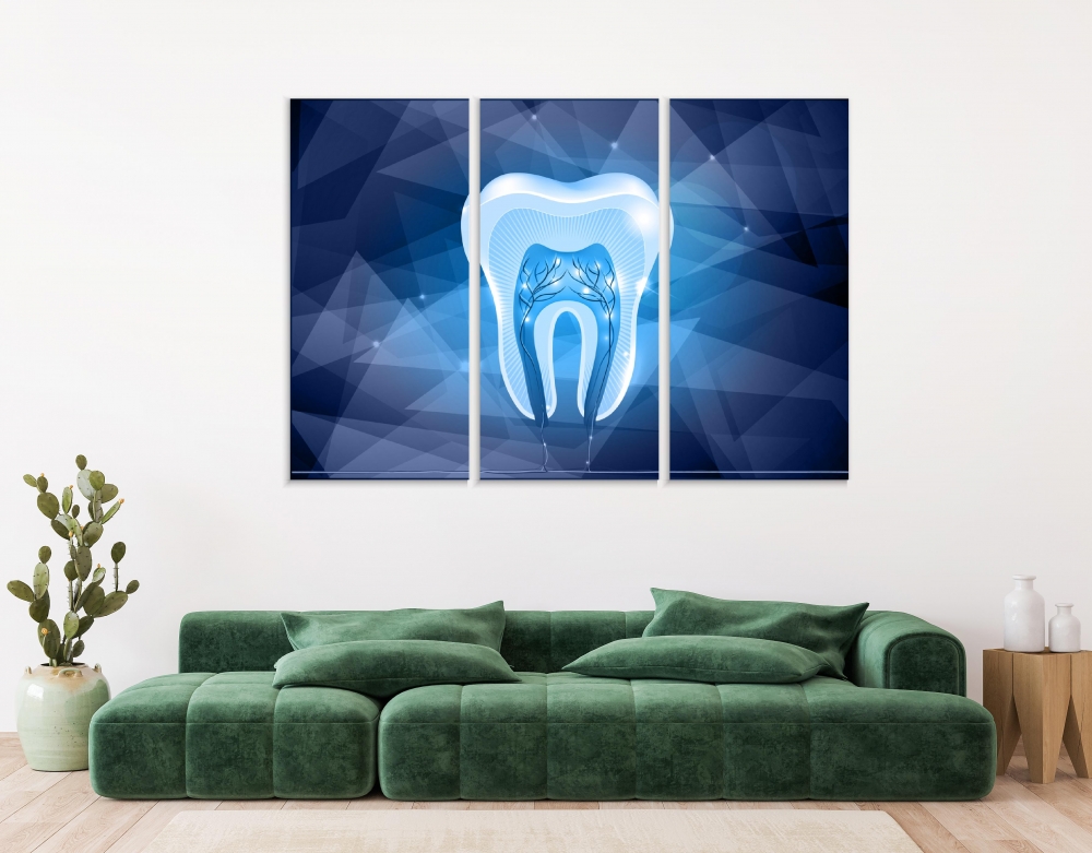 

Картина на холсте Модульные Модульная картина Tooth Cross Section 3 картины 70х140 см.