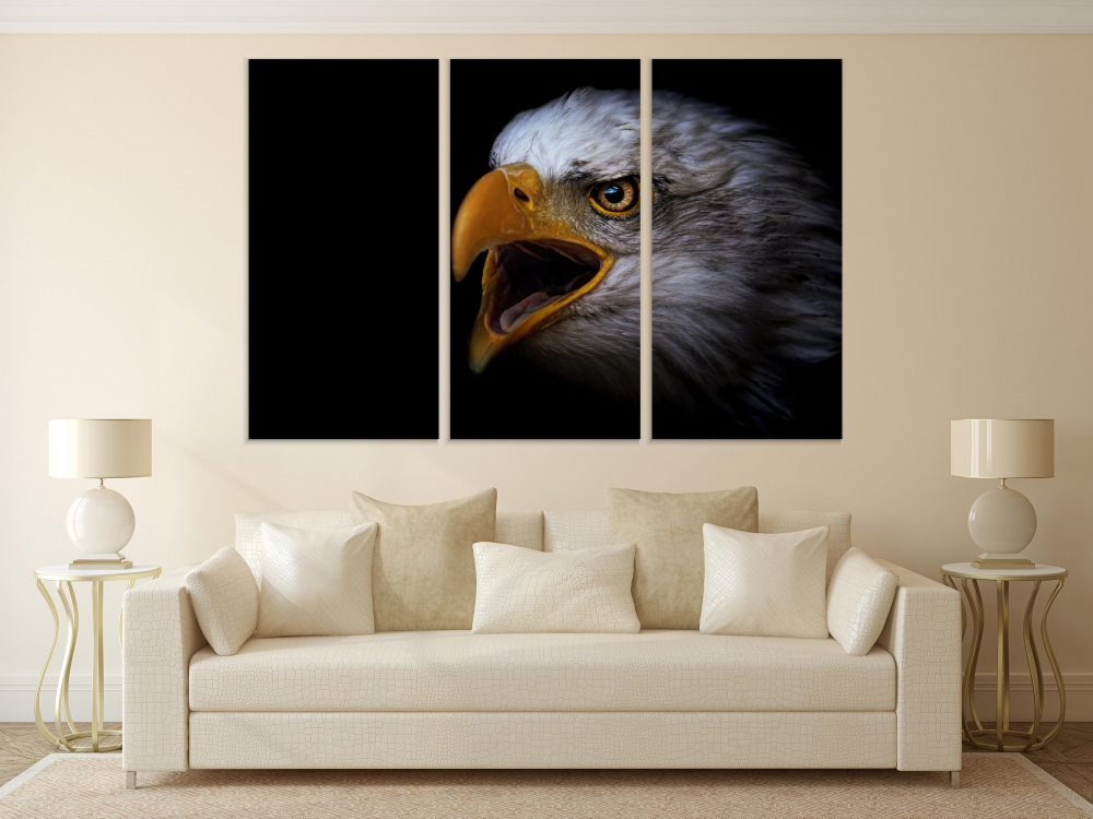 

Картина на холсте Модульные Модульная картина Bald Eagle Portrait 3 картины 60х120 см.