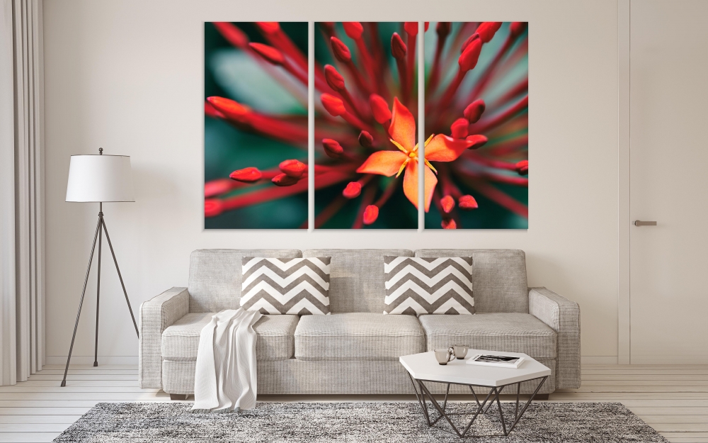 

Картина на холсте Модульные Модульная картина Red Flowers On Nature Background 3 картины 70х140 см.