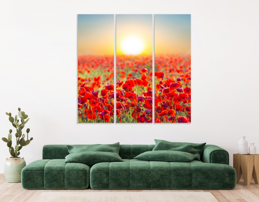 

Картина на холсте Модульные Модульная картина Red Poppy Field 3 картины 60х120 см.