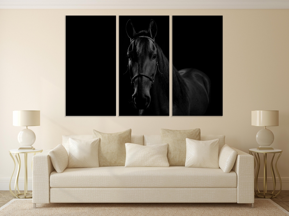 

Картина на холсте Модульные Модульная картина Sport Horse 3 картины 30х60 см.